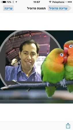 הרציני ברצינית