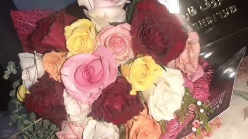 נידווו