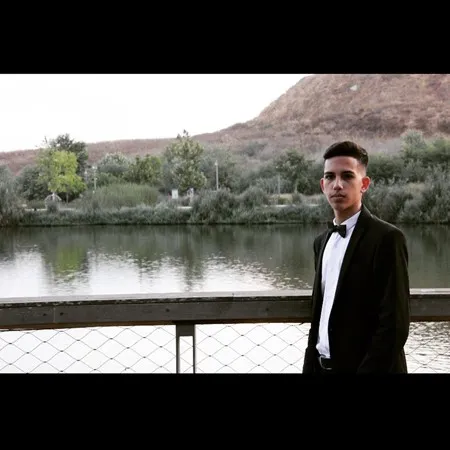 Alon levi