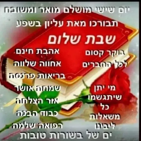  דודיק