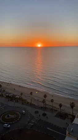 Joni55