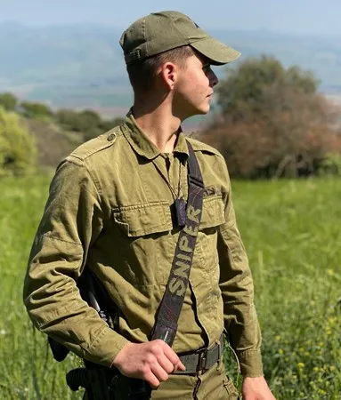 ולד303
