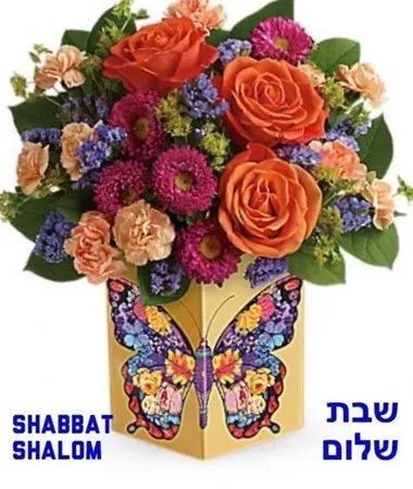 מחפש. צעיר.19/3