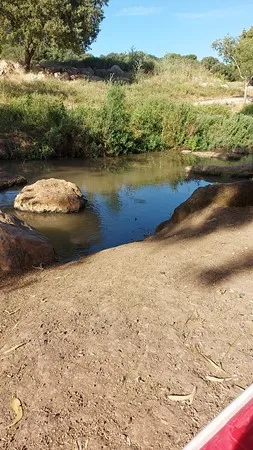 חמודי חמוד