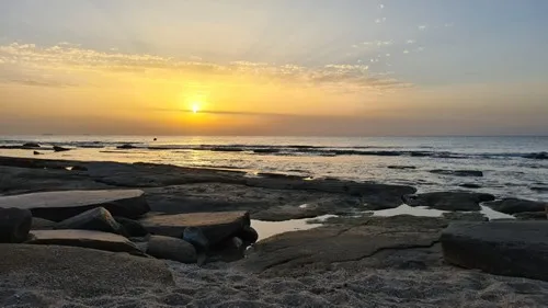 טוניה