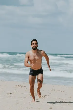 The wolf