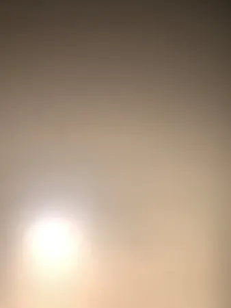 Plpl 