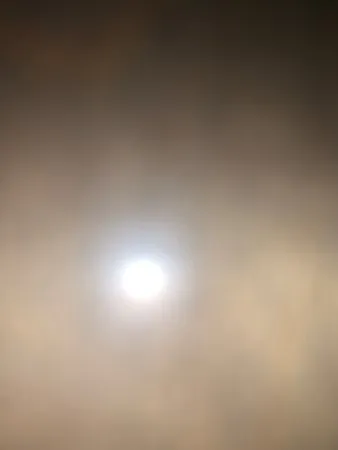 ירייניי