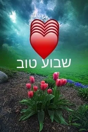 גצייי