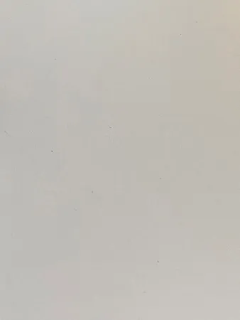 מיטל234