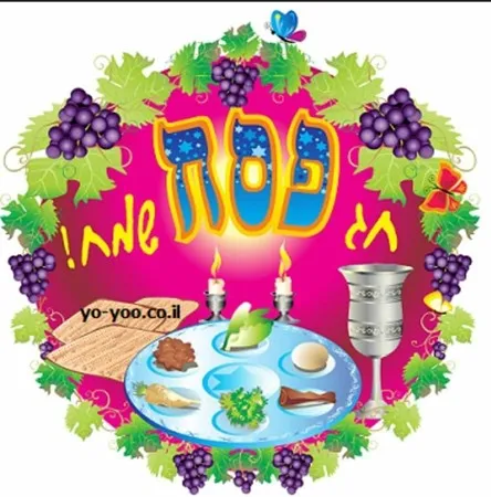 MotiMoti