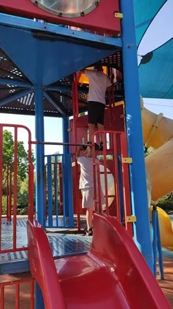 אורלי יקוטי
