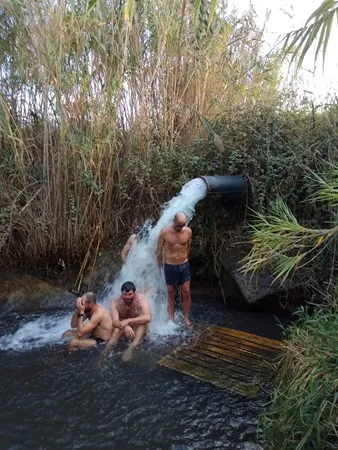 אמונר