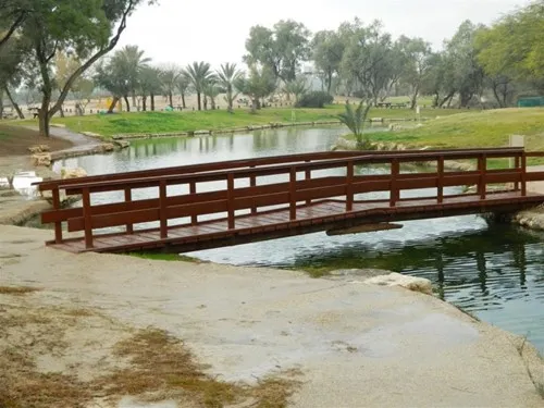 הצלפות חינוך 