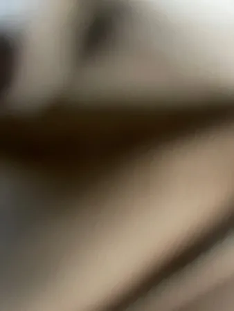 יעקוב דוד