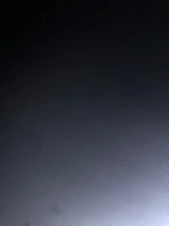 Lok