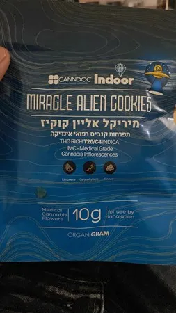 שון פול