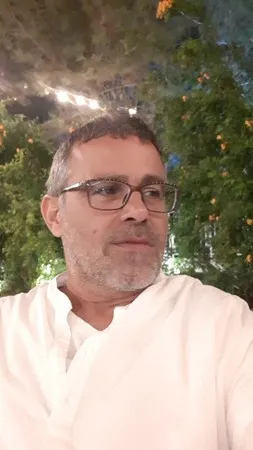 חתול פרא