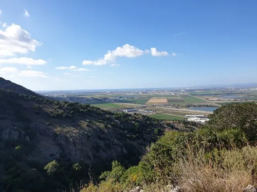 ציון. 