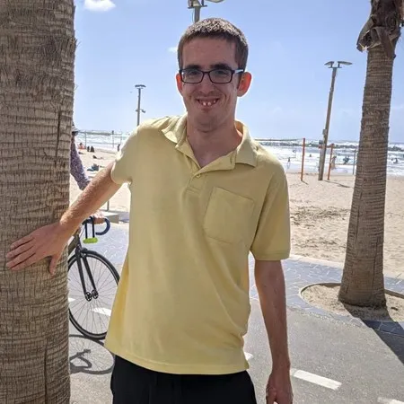 דן הלל