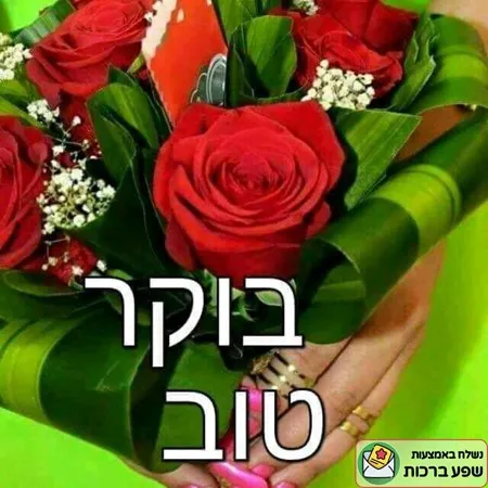 מאמי4