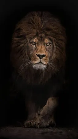BBlackmen