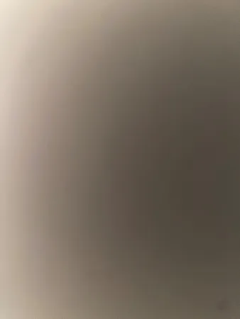 הבוס777