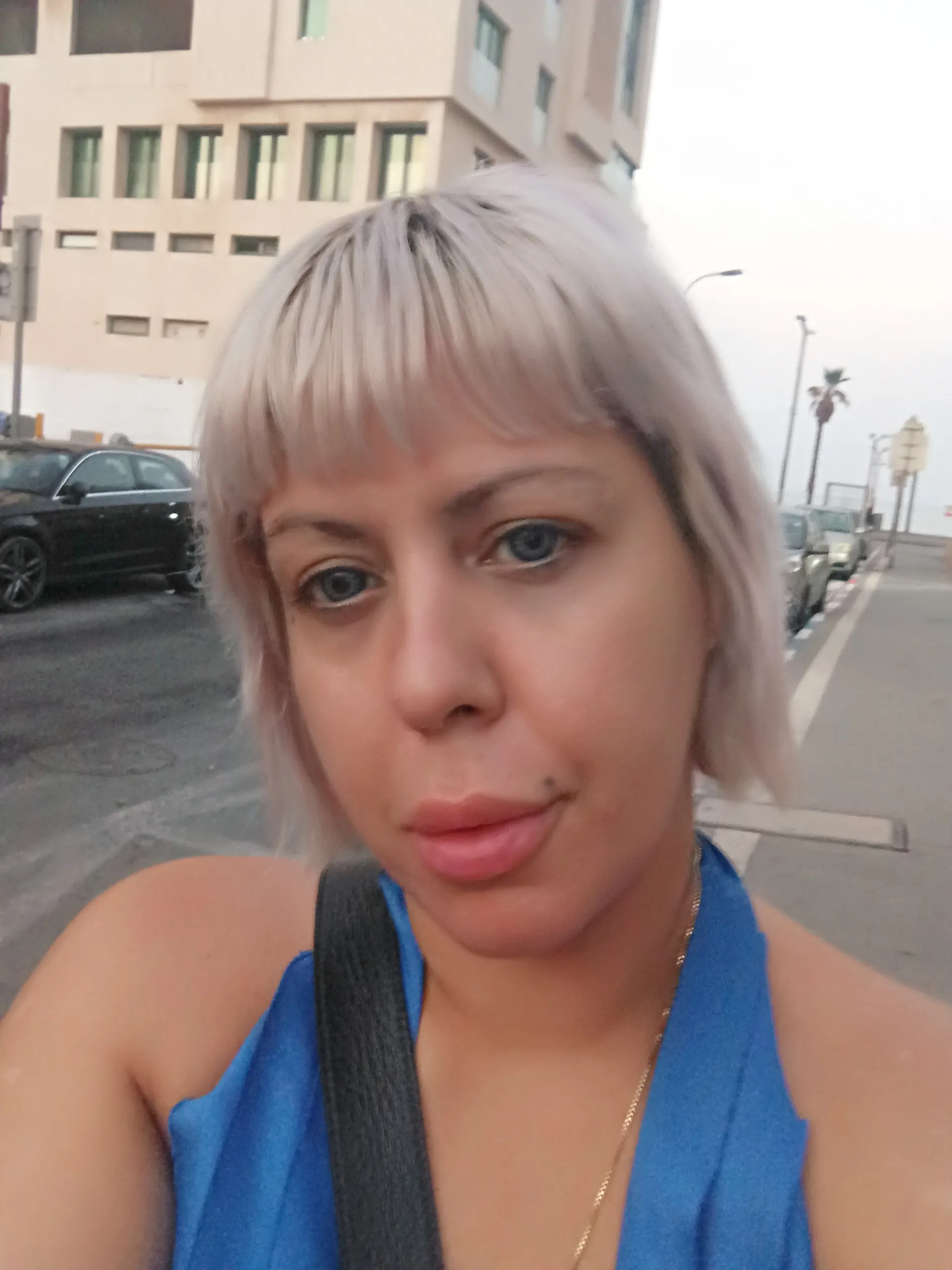  דיקלה