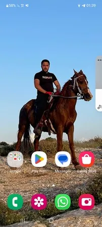 אוהב להינות