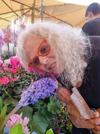 שוליפ