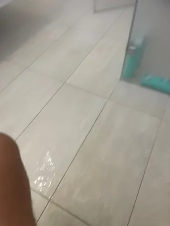 Bsndb