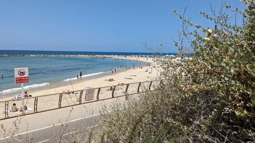 גיא ספייס