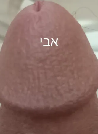 אבי אבי אבי אבי