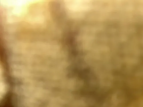 מידאל