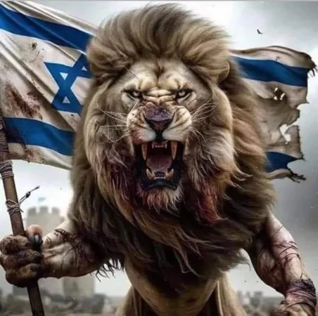 אלי צור