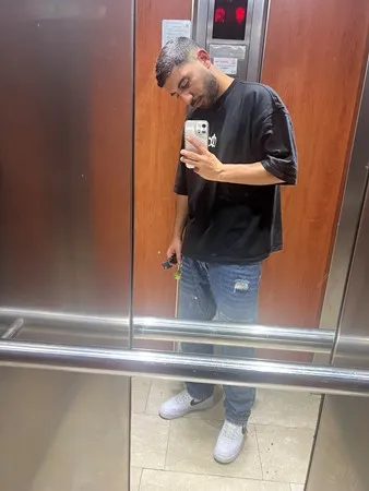 מלך האריות