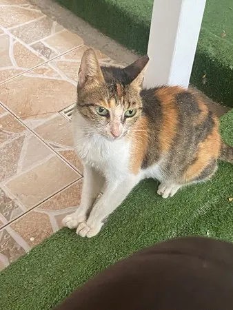 מה אתם רוצים 