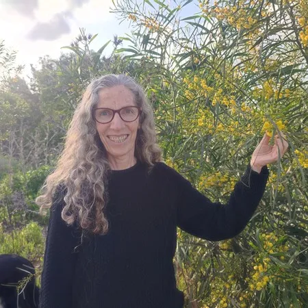 אילה12