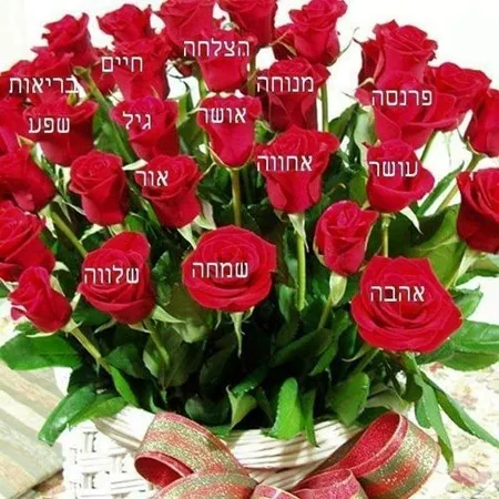 סנדוי