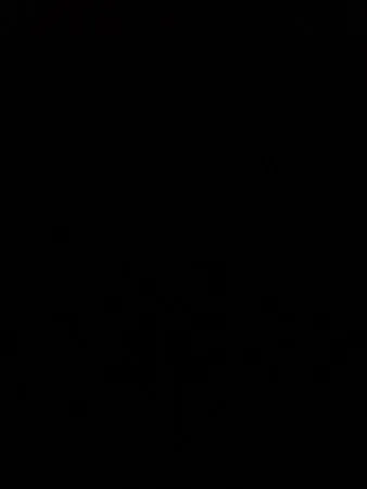 איתי 17