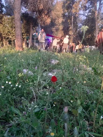 יונהההההה ושוה 